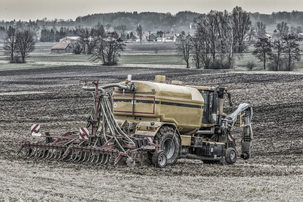 5. Platz Conny Kleiner